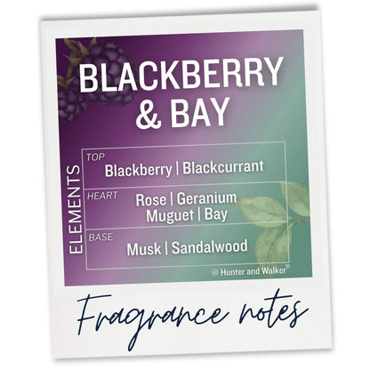 Blackberry and Bay fragrance notes