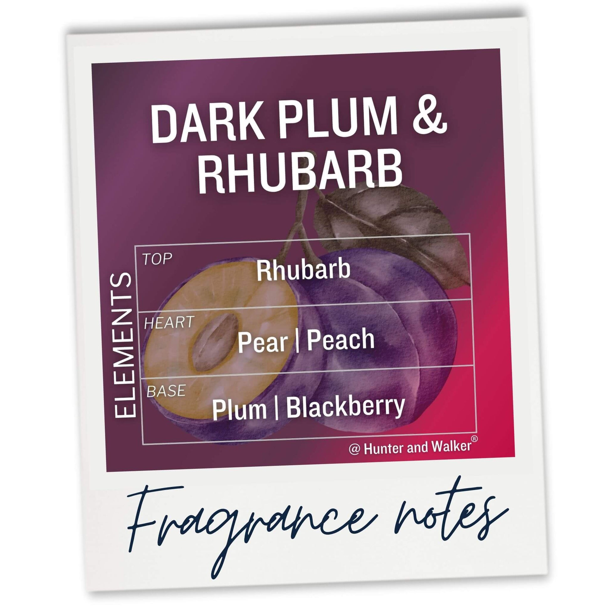 Plum and Rhubarb wax melt sample fragrance notes