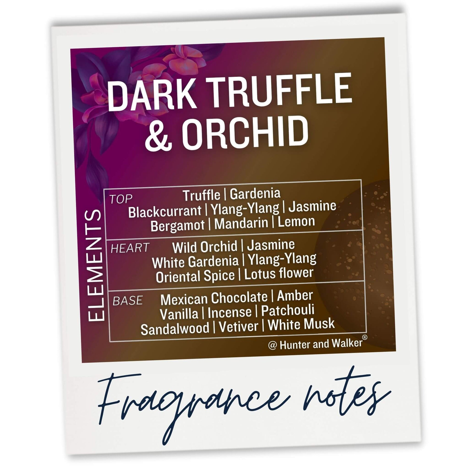 Dark Truffle and Orchid Fragrance notes in car air freshener