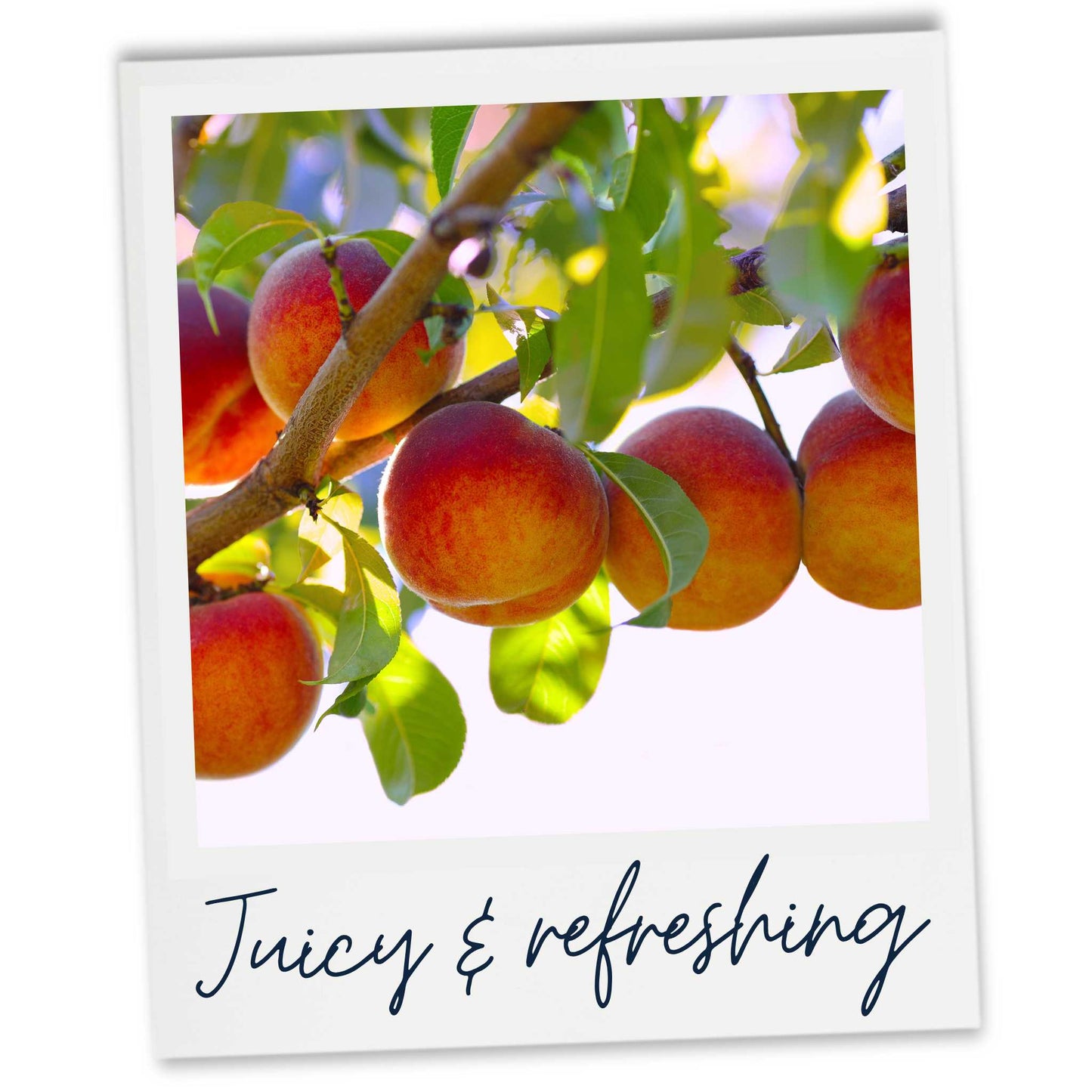 Juicy and refreshing peach fragrance