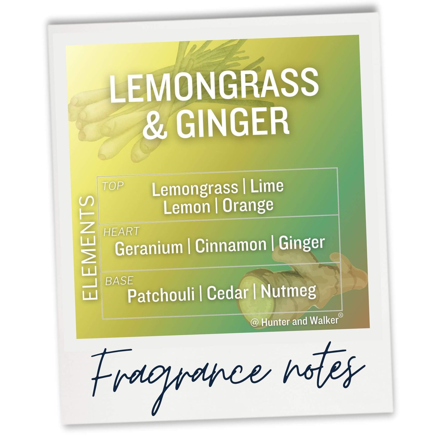 Lemongrass and Ginger wax melt sample fragrance notes