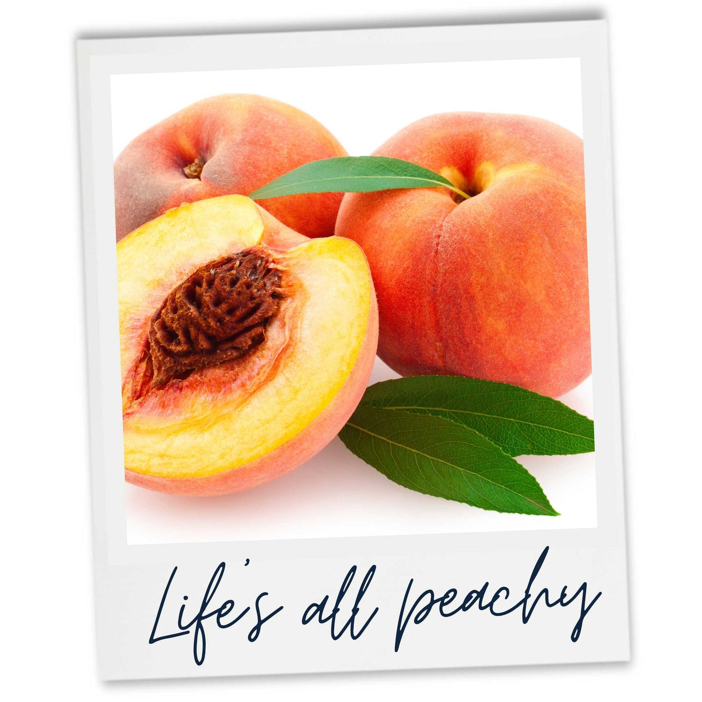 Life is peachy. Peaches on white background