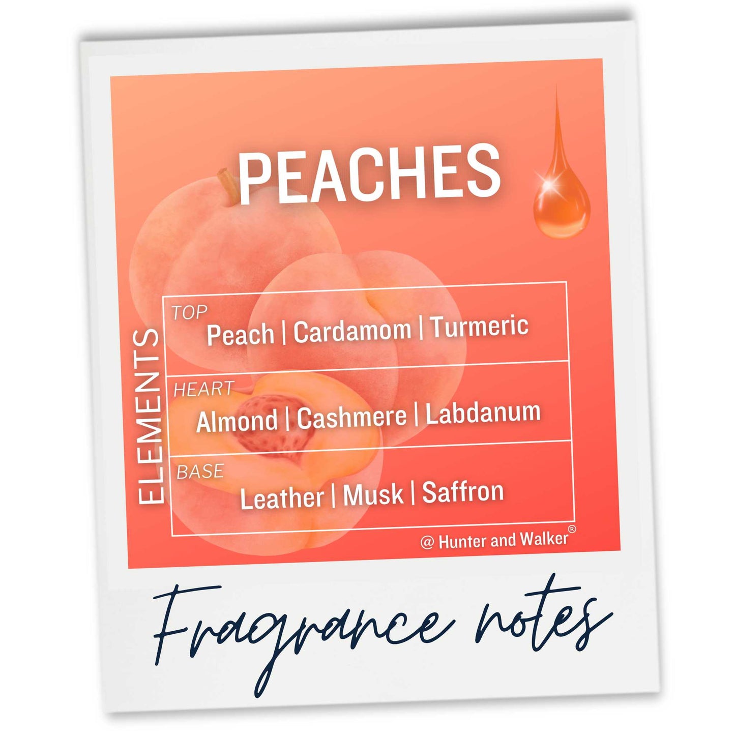 Peaches Fragrance Notes Polaroid