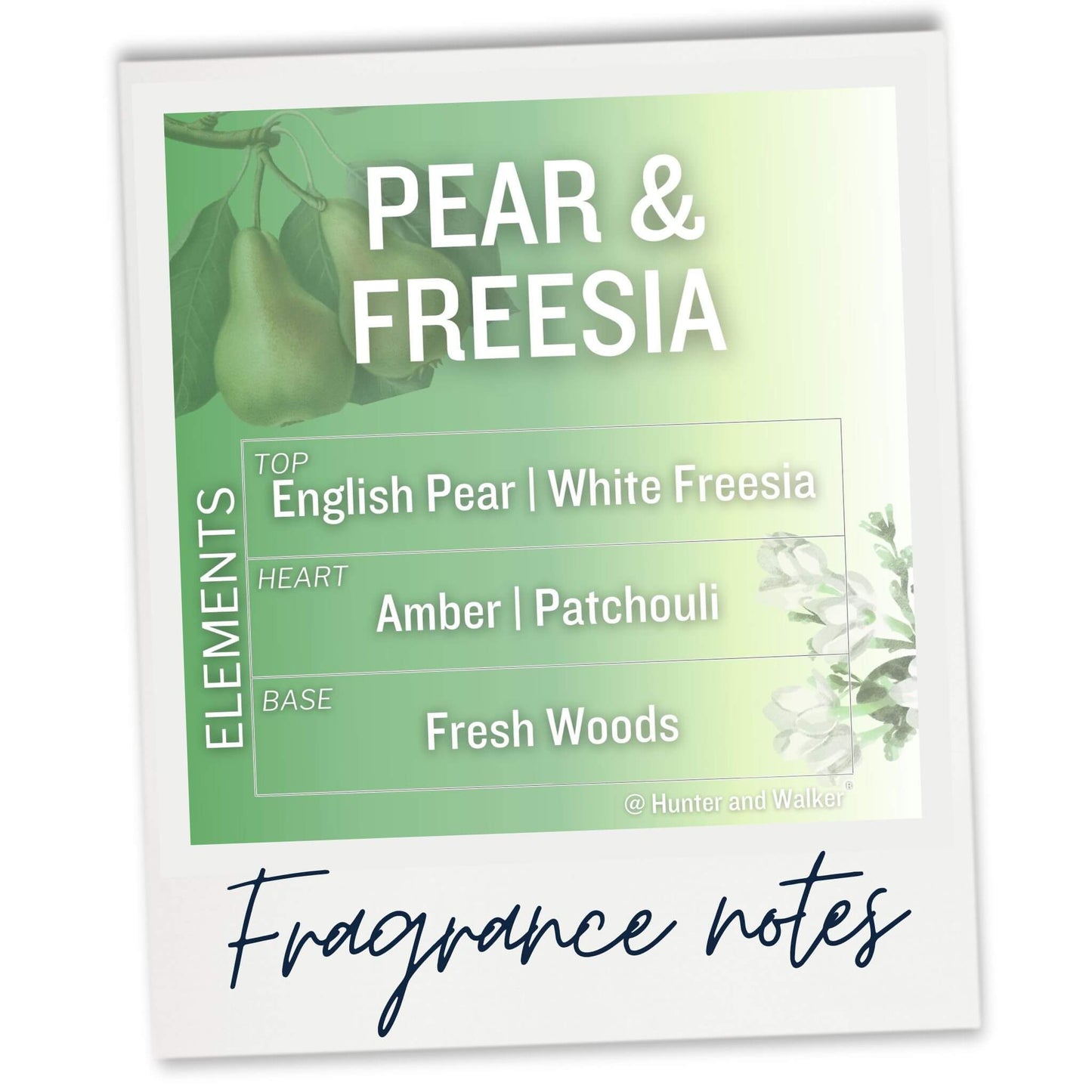 English Pear and Freesia Fragrance Notes