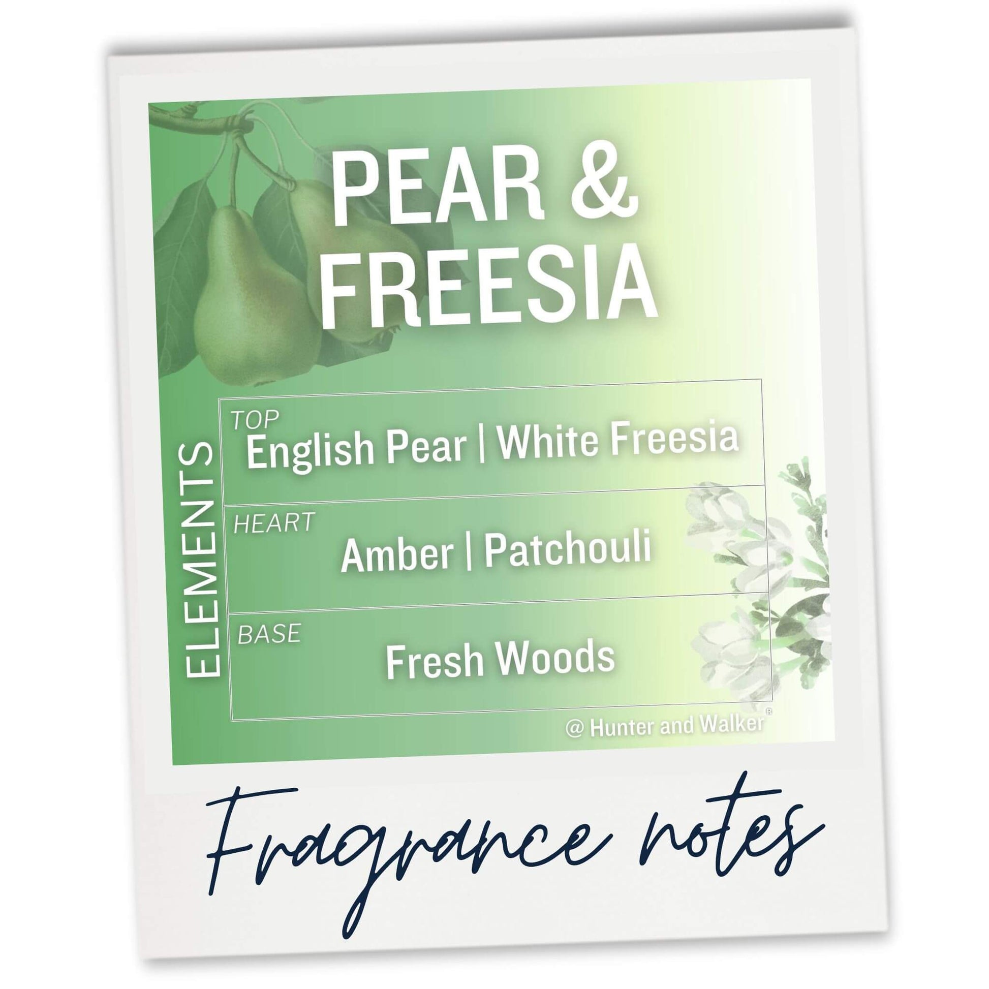 Pear and Freesia Fragrance Notes